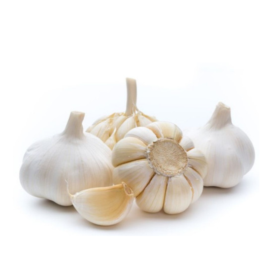 Bawang Putih Honam