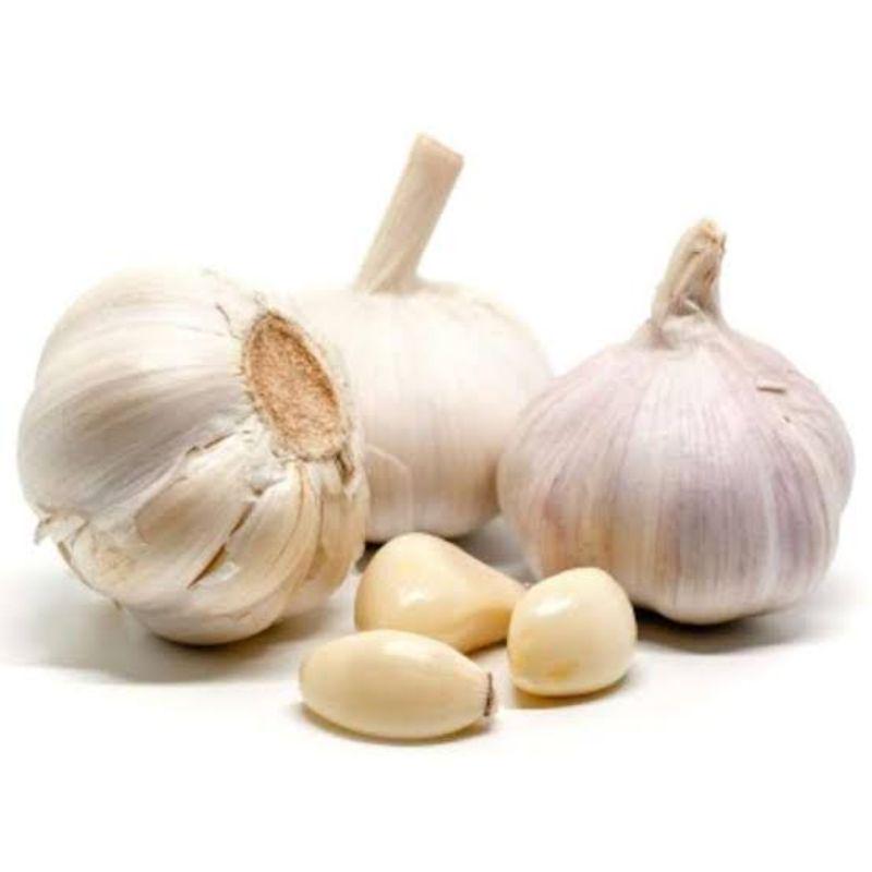 Bawang Putih Kating